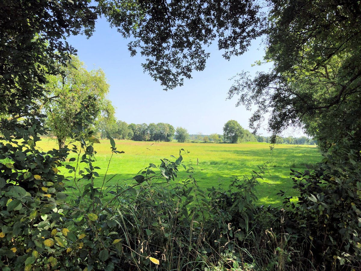 Blick von der Straße auf die Weide