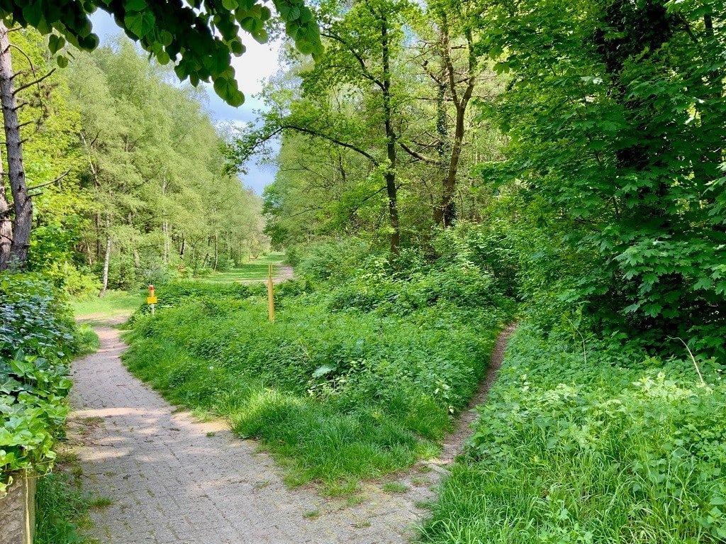 Zugang zum Esterfelder Forst direkt hinterm Haus