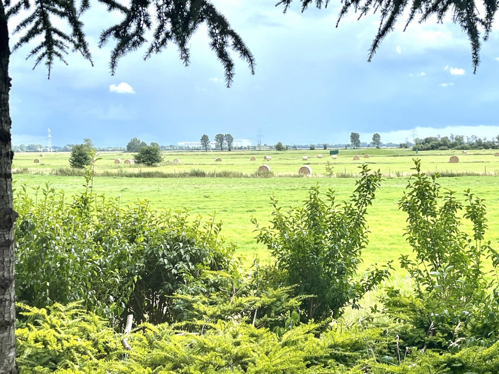 Blick aus Wohnzimmer WHG EG