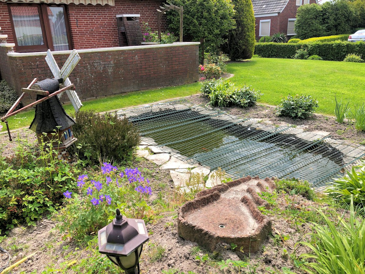 kleiner Fischteich im Garten