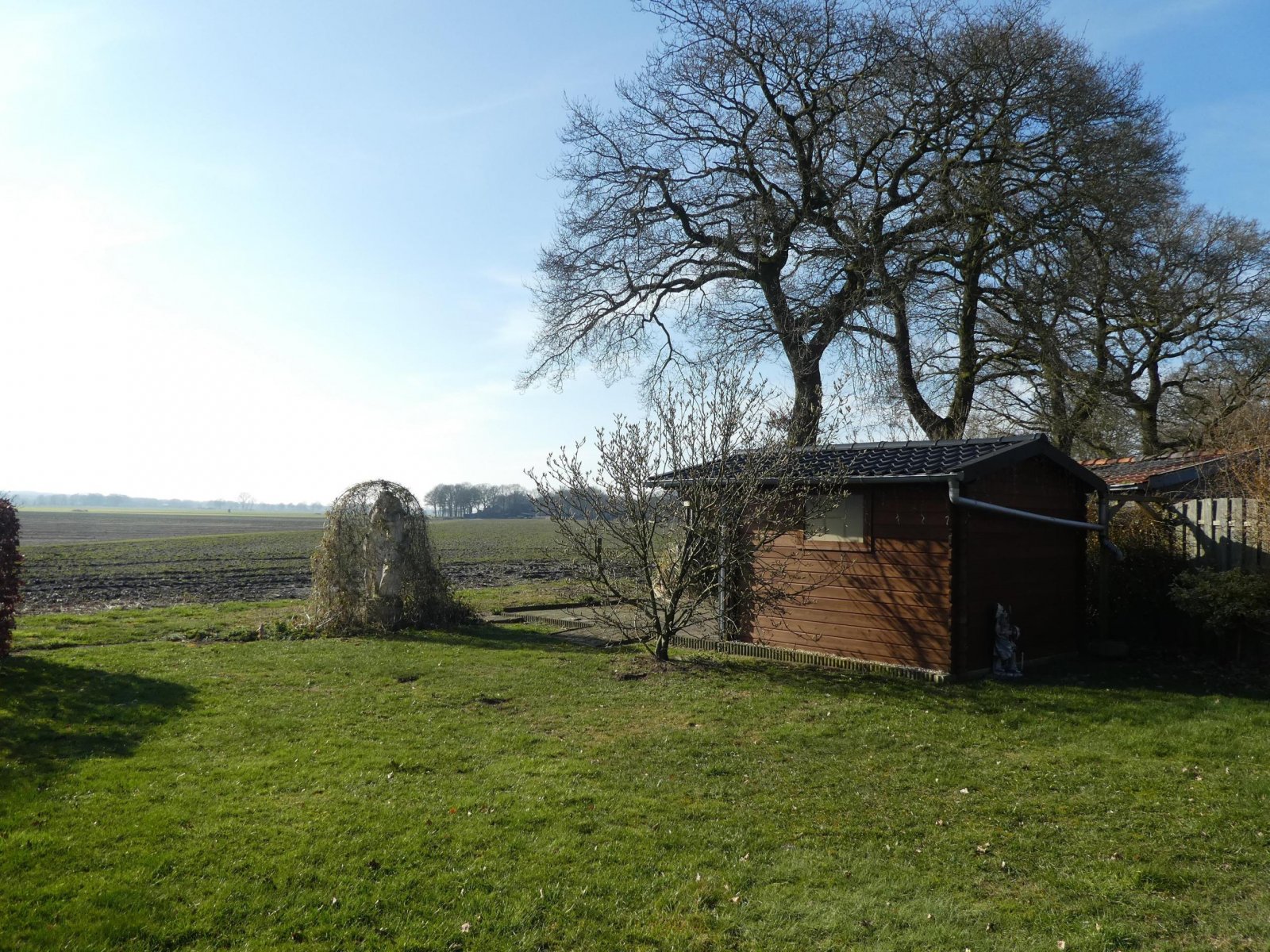 Blick aus dem Garten