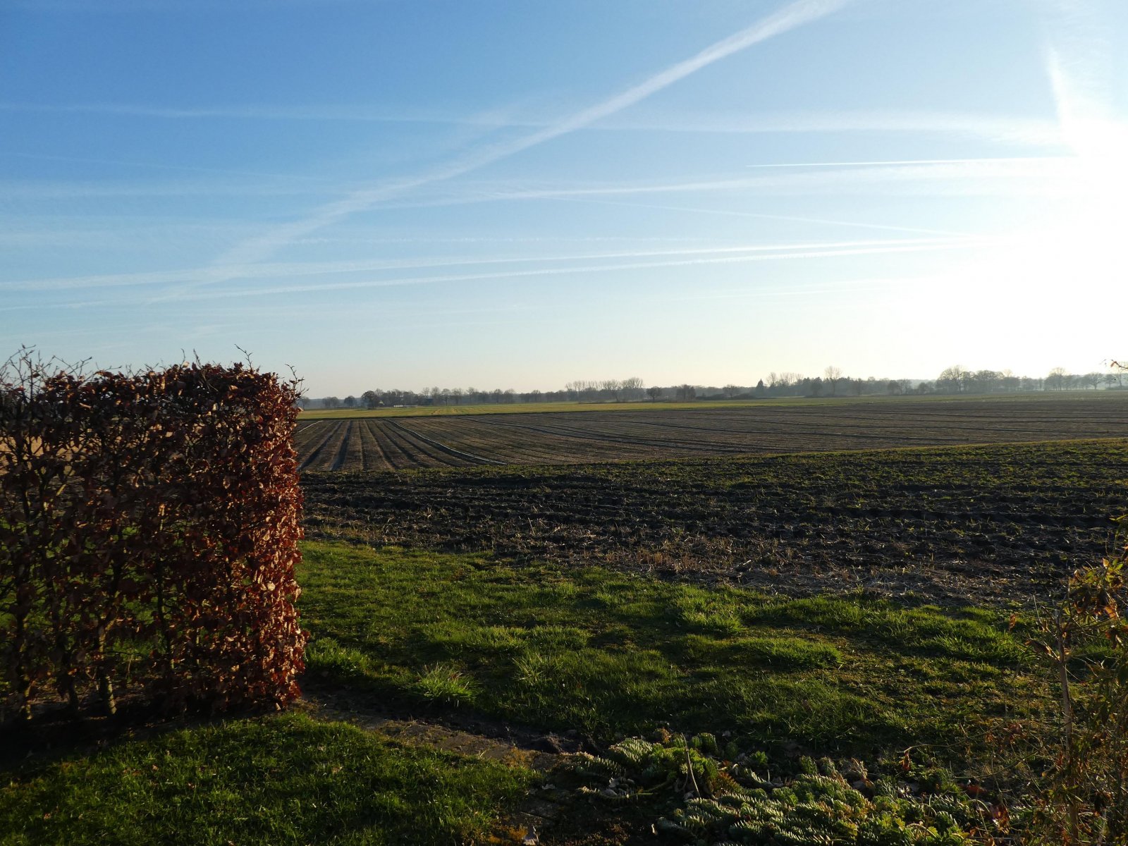 Ausblick aus dem Garten